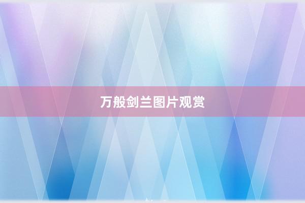 万般剑兰图片观赏