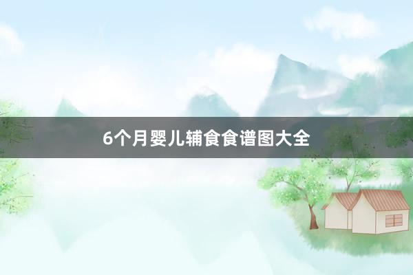 6个月婴儿辅食食谱图大全